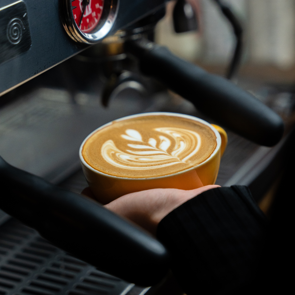 Speciality Coffee Subscription