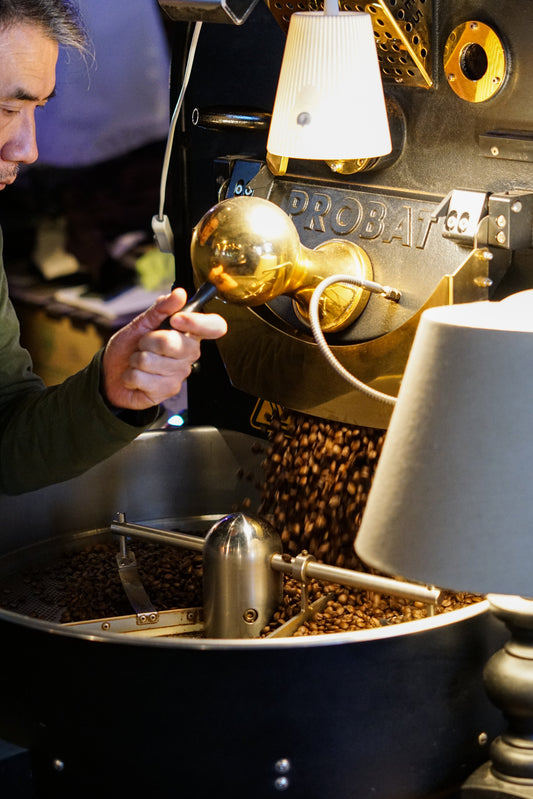 Arabica vs. Robusta: What’s the Difference