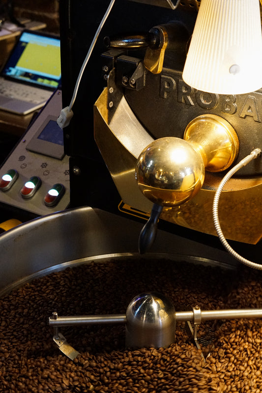 Freshly Roasted Coffee Beans – Why Freshness Matters
